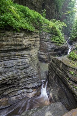 Watkins Glen Eyalet Parkı, New York