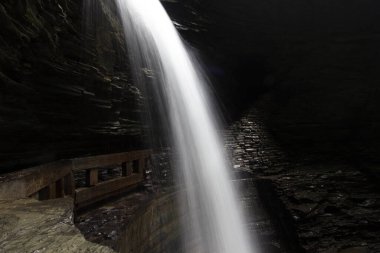 Watkins Glen Eyalet Parkı, New York