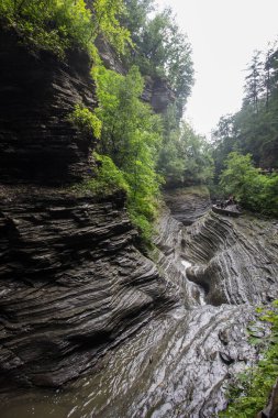 Watkins Glen Eyalet Parkı, New York