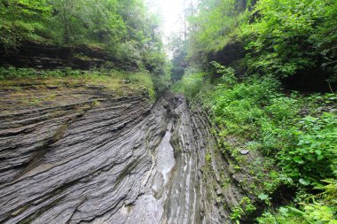 Watkins Glen Eyalet Parkı, New York