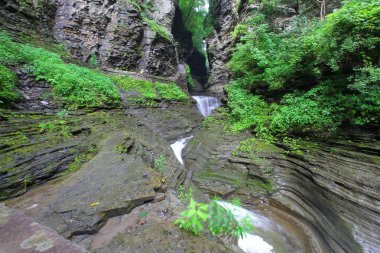 Watkins Glen Eyalet Parkı, New York