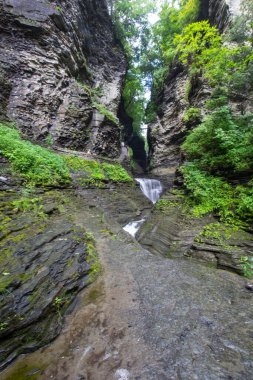 Watkins Glen Eyalet Parkı, New York