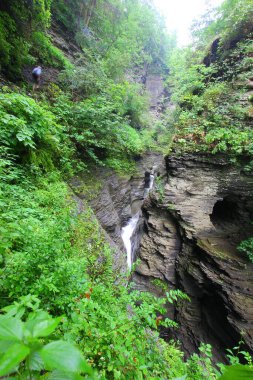 Watkins Glen Eyalet Parkı, New York