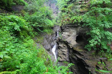 Watkins Glen Eyalet Parkı, New York