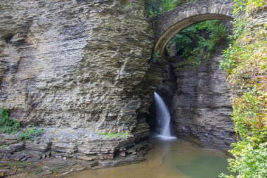 Watkins Glen Eyalet Parkı, New York