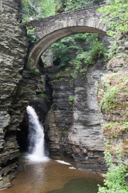 Watkins Glen Eyalet Parkı, New York