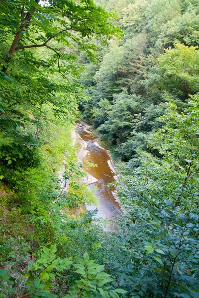 Watkins Glen Eyalet Parkı New York — Stok fotoğraf