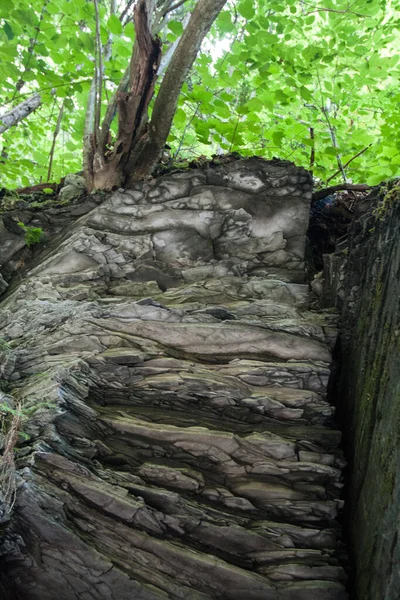 Watkins Glen Eyalet Parkı New York — Stok fotoğraf