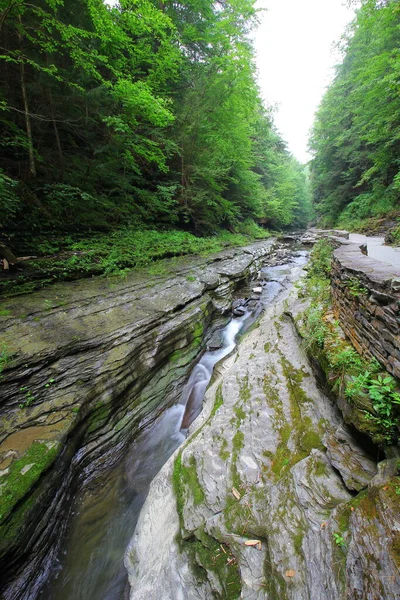 Watkins Glen State Park New York Állam — Stock Fotó