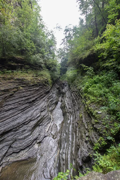 Watkins Glen State Park Nueva York — Foto de Stock