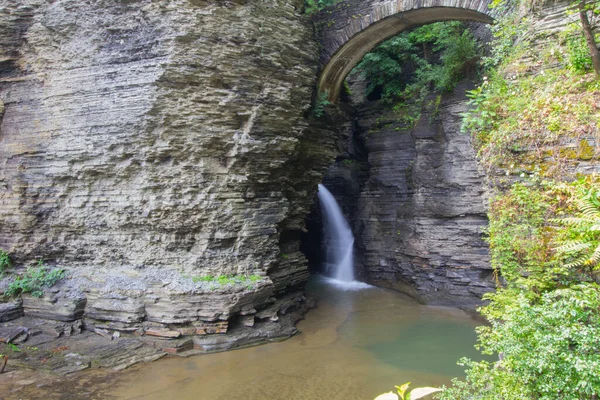 Watkins Glen Eyalet Parkı, New York