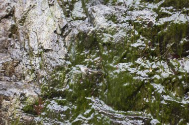 Catherine Gölü Eyalet Parkı, Arkansas