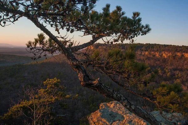 Petit Jean State Park Arkansas —  Fotos de Stock