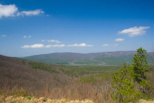 Góry Ouachita Arkansas Widziane Talimena Drive — Zdjęcie stockowe