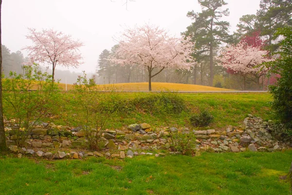 Spring Blooms at a Golf Course