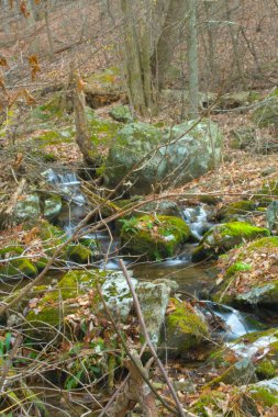 Virginia 'daki Blue Ridge Parkway' de manzara