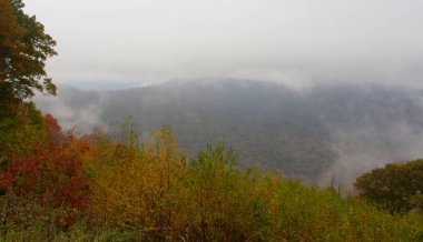 Shenandoah Ulusal Parkı, Virginia