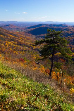 Shenandoah Ulusal Parkı Sonbaharda, Virginia
