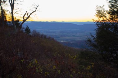 Shenandoah Ulusal Parkı, Virginia