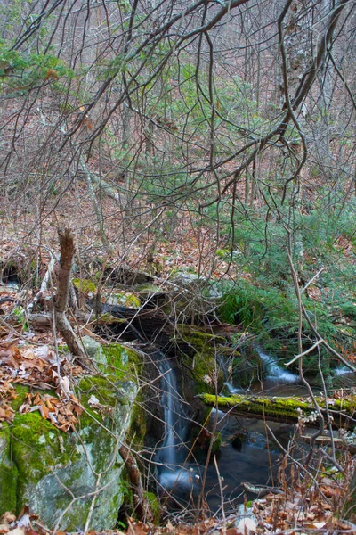 Sights Blue Ridge Parkway Virgina — Stock Photo, Image