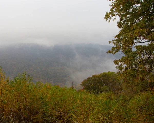 Vistas Del Parque Nacional Shenandoah Virginia —  Fotos de Stock