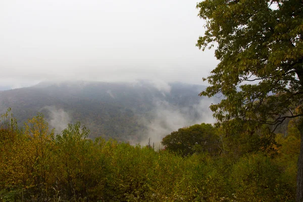 Vedute Del Parco Nazionale Shenandoah Virginia — Foto Stock