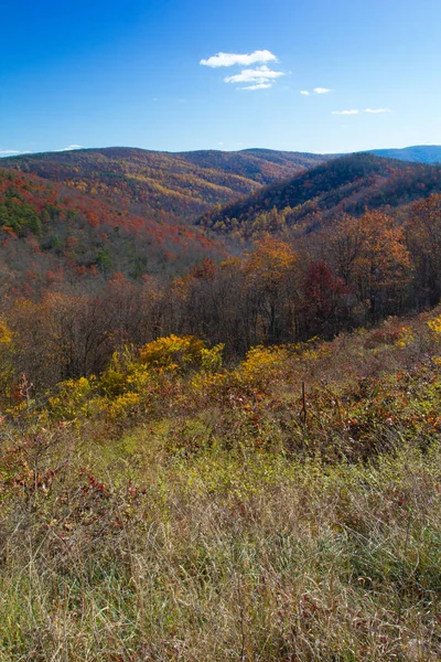 Vues Sur Parc National Shenandoah Virginie — Photo