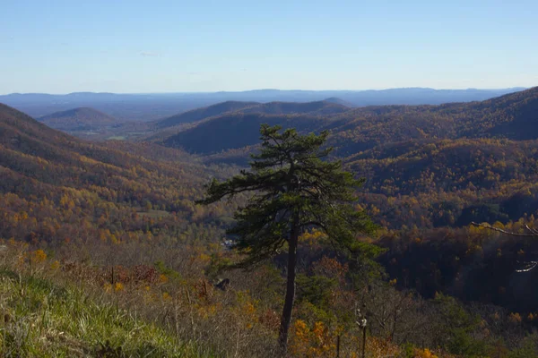 弗吉尼亚Shenandoah国家公园秋天的山脉 — 图库照片