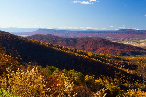 Park Narodowy Shenandoah Jesienią Wirginia — Zdjęcie stockowe