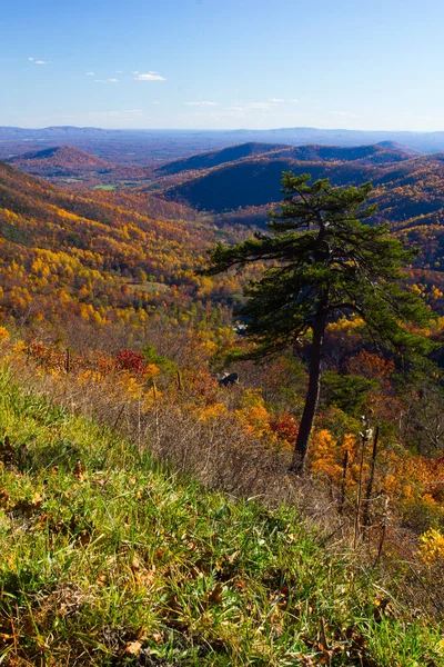 弗吉尼亚秋天的神州国家公园 — 图库照片