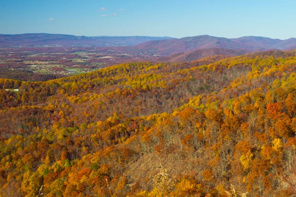 Vistas Del Parque Nacional Shenandoah Virginia — Foto de Stock