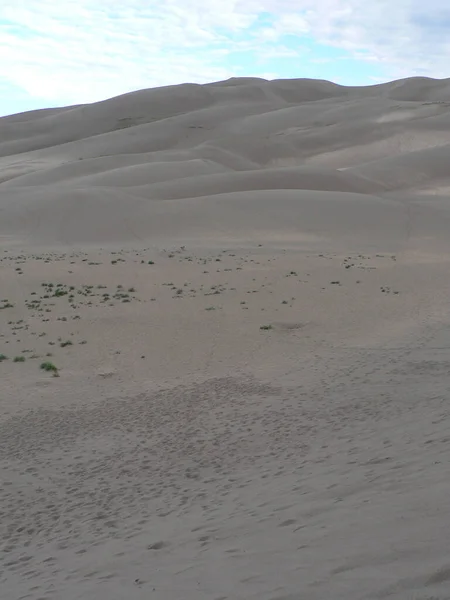 Great Sand Dunes National Park Preserve Colorado — Stock Photo, Image