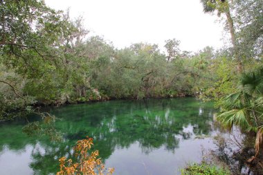 Orlando, Florida yakınlarındaki Blue Springs Eyalet Parkı manzarası