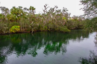 Orlando, Florida yakınlarındaki Blue Springs Eyalet Parkı manzarası