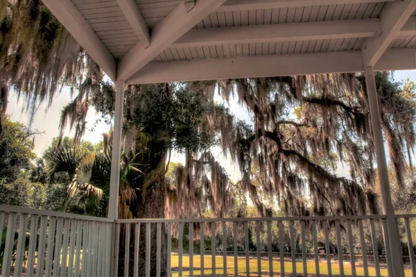 Orlando Florida Yakınlarındaki Blue Springs Eyalet Parkı Manzarası — Stok fotoğraf