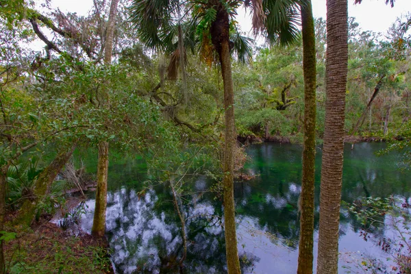 Výhled Park Blue Springs Poblíž Orlanda Floridě — Stock fotografie