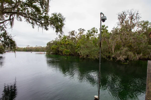 Orlando Florida Yakınlarındaki Blue Springs Eyalet Parkı Manzarası — Stok fotoğraf