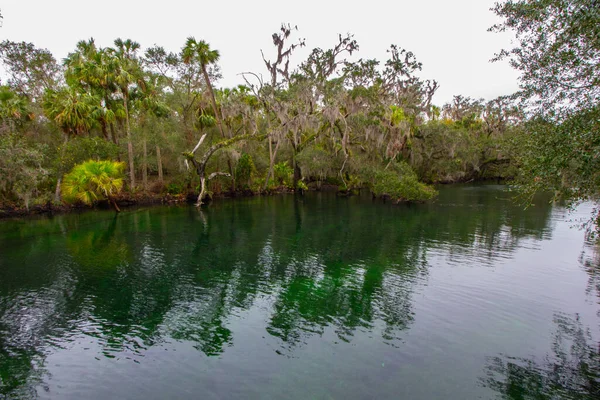 Utsikt Över Blue Springs State Park Nära Orlando Florida — Stockfoto