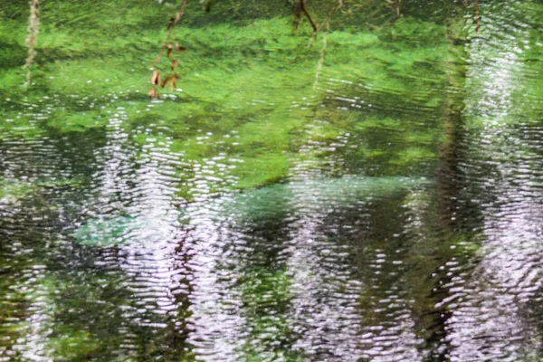 Θέα Του Blue Springs State Park Κοντά Στο Ορλάντο Φλόριντα — Φωτογραφία Αρχείου