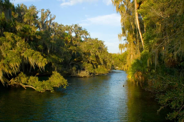 Views Blue Springs State Park Orlando Florida — Stock Photo, Image
