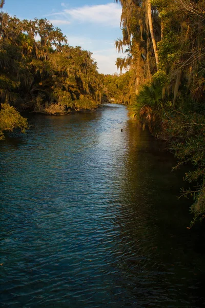 Vistas Blue Springs State Park Perto Orlando Flórida — Fotografia de Stock