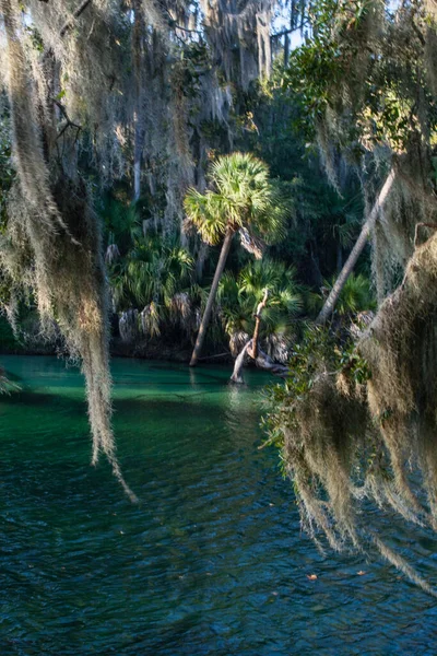 Vistas Del Parque Estatal Blue Springs Cerca Orlando Florida — Foto de Stock