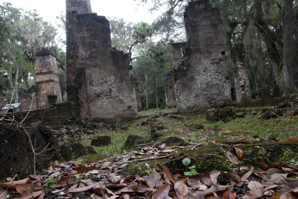 Die Ruinen Der Bulow Plantage Florida — Stockfoto