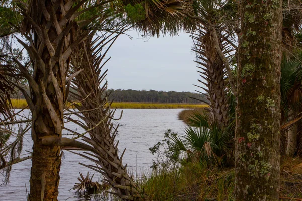 Florida Daki Bulow Çiftliği Nin Kalıntıları — Stok fotoğraf