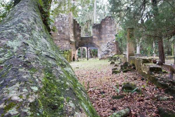 Las Ruinas Plantación Bulow Florida — Foto de Stock