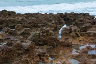 Coral Cove Park, Tequesta, Florida