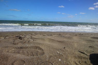 Atlantik Okyanusu 'ndaki sahil, Fort Pierce, Florida