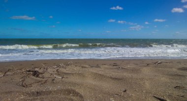Atlantik Okyanusu 'ndaki sahil, Fort Pierce, Florida