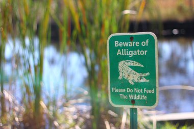Florida 'da bir gölde timsah uyarısı.