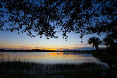 George LeStrange Konservesi, Fort Pierce, Florida